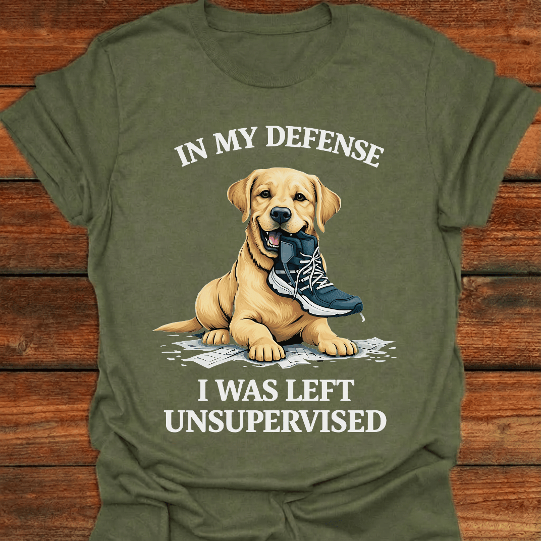 In My Defence T-shirt