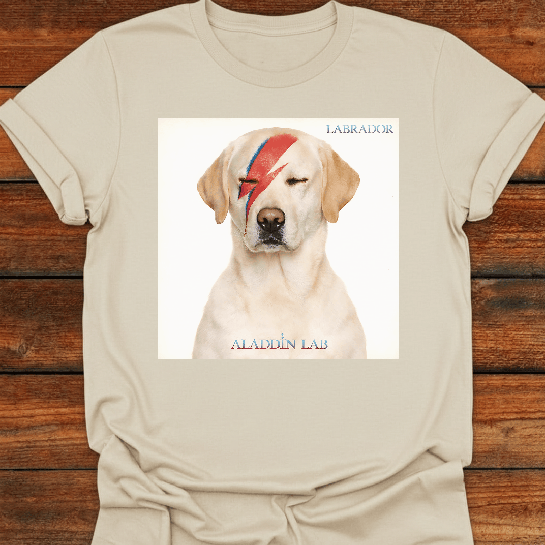 Aladdin Lab T-Shirt