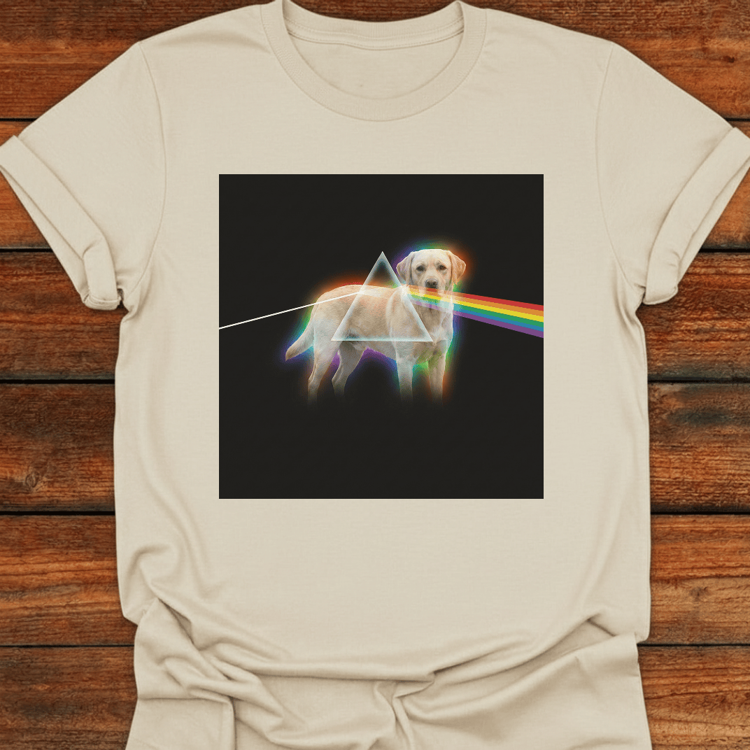 Darkside Of The Moon T-Shirt