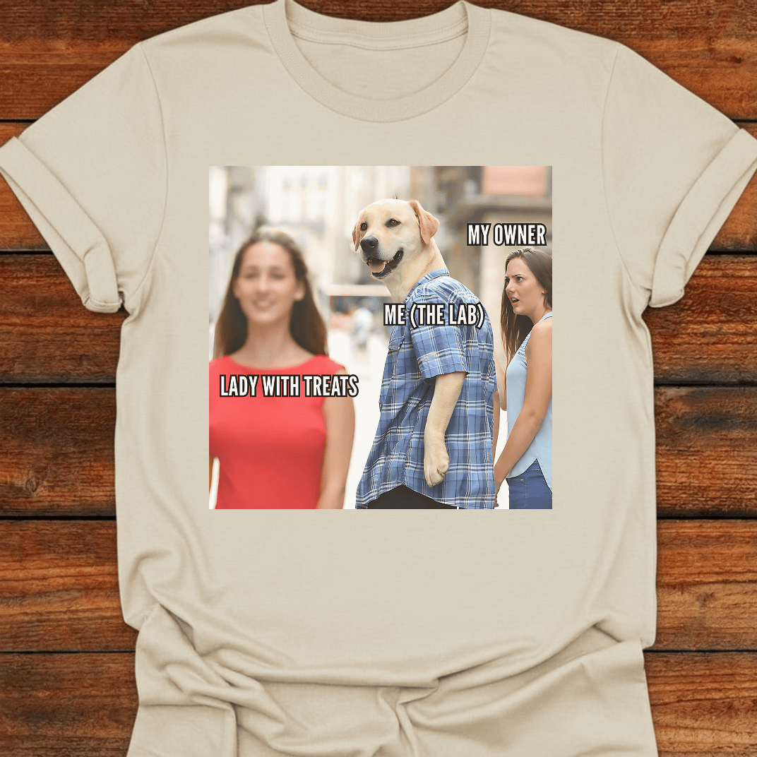 Lady With Treats T-Shirt