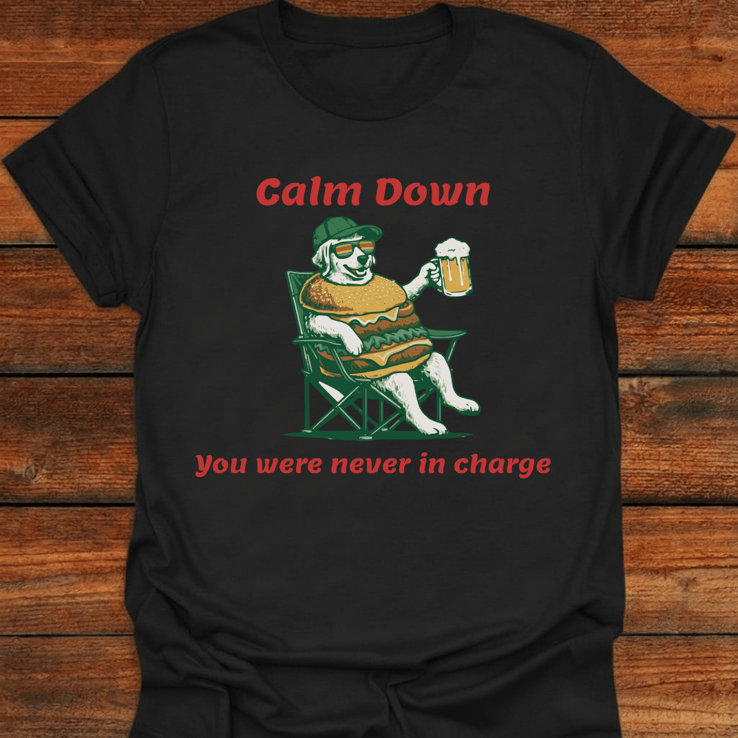 Calm Down You Were Never In Charge T-Shirt