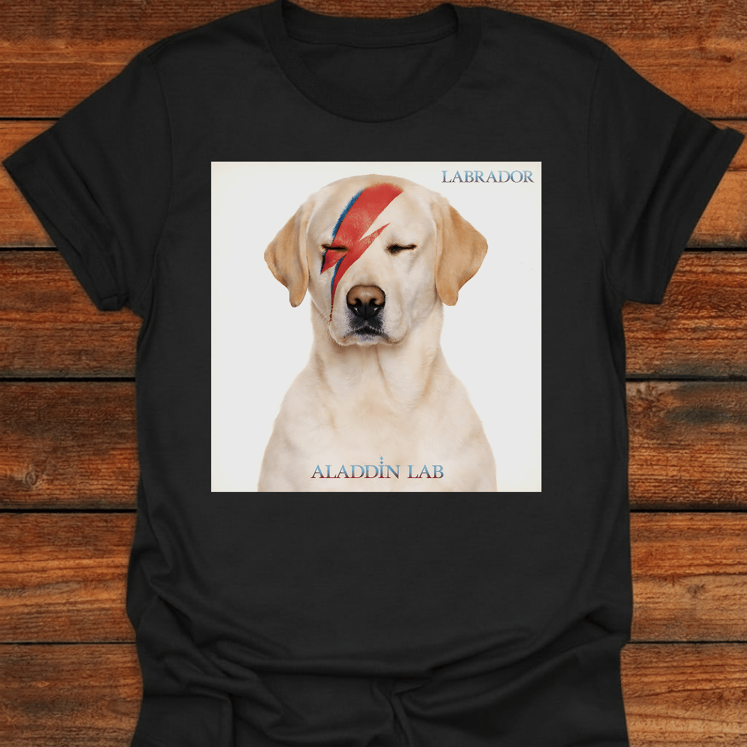 Aladdin Lab T-Shirt