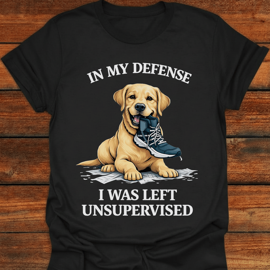 In My Defence T-shirt