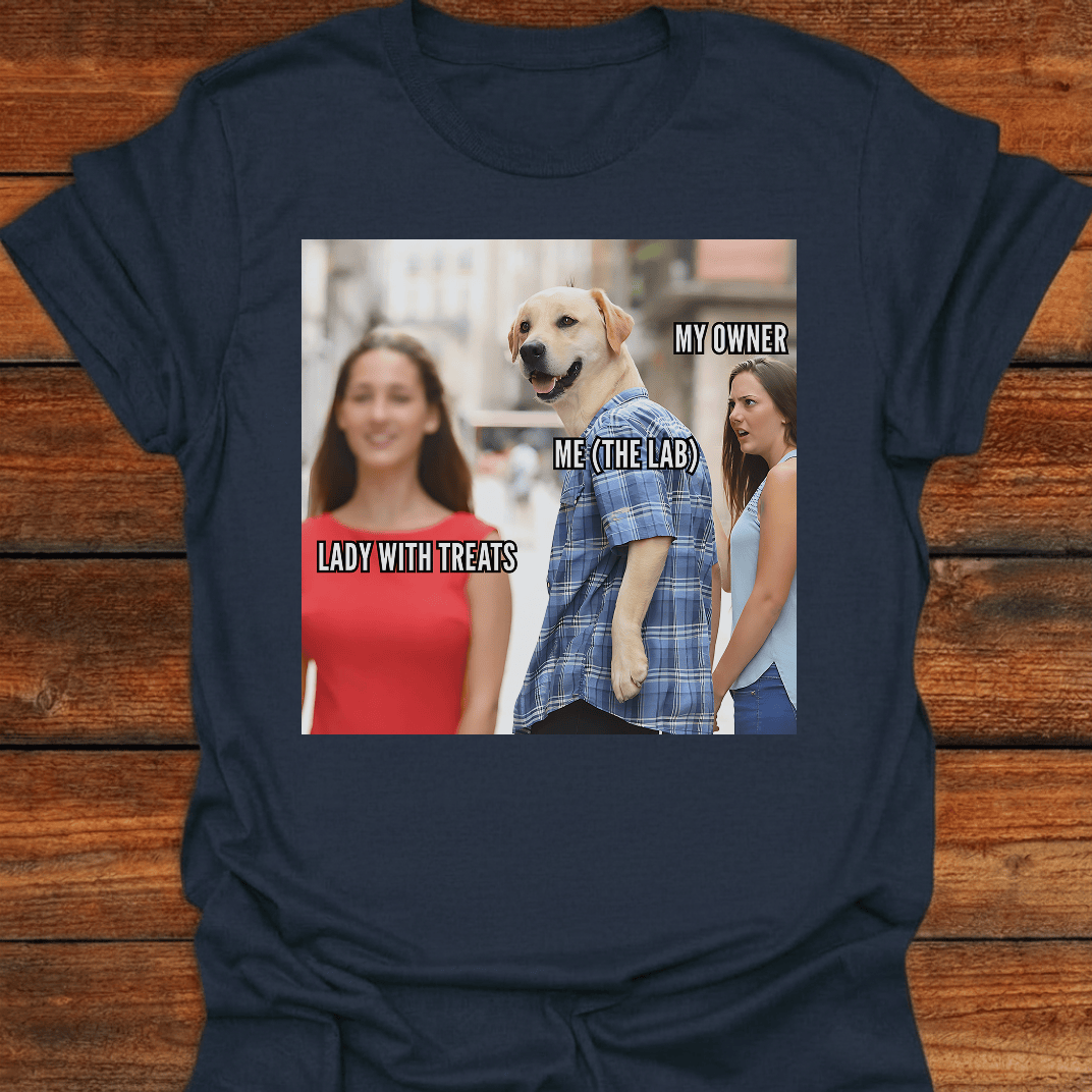 Lady With Treats T-Shirt