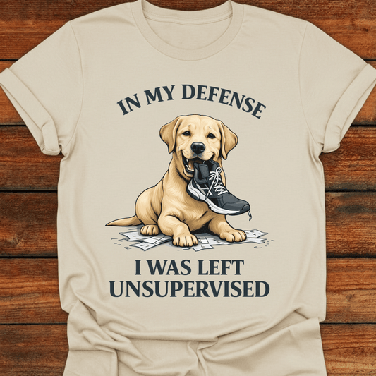 In My Defence T-shirt