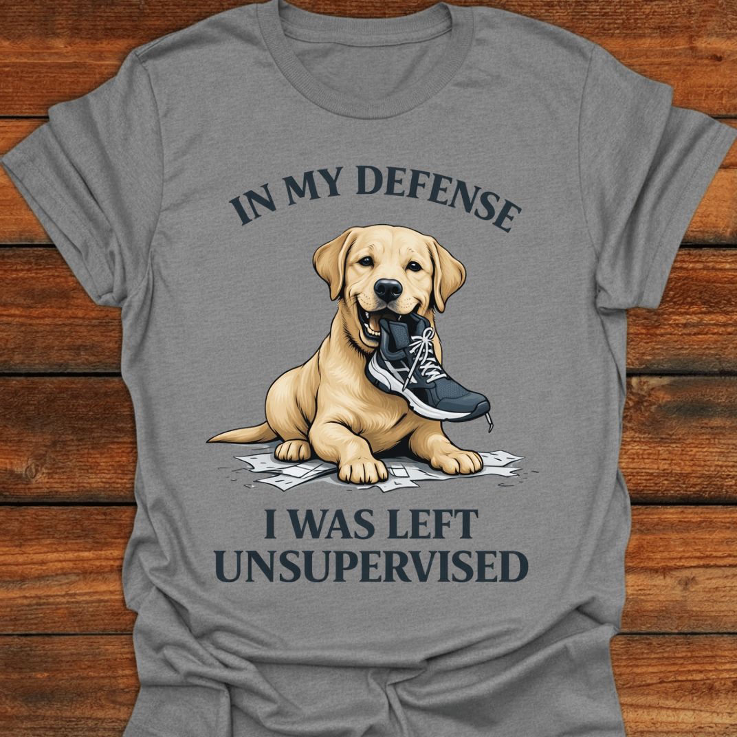 In My Defence T-shirt