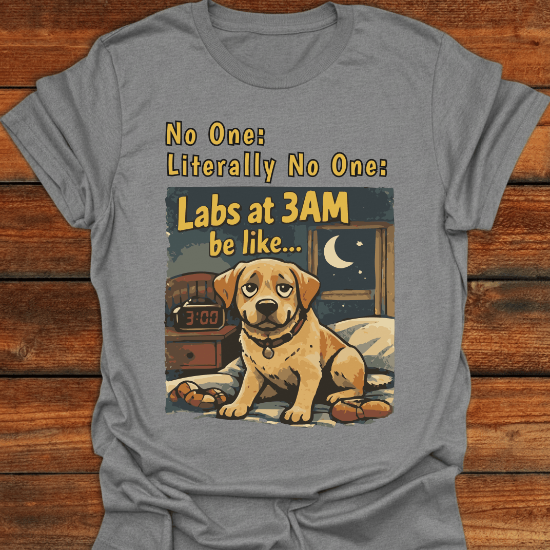 Labs At 3am Be Like T-Shirt