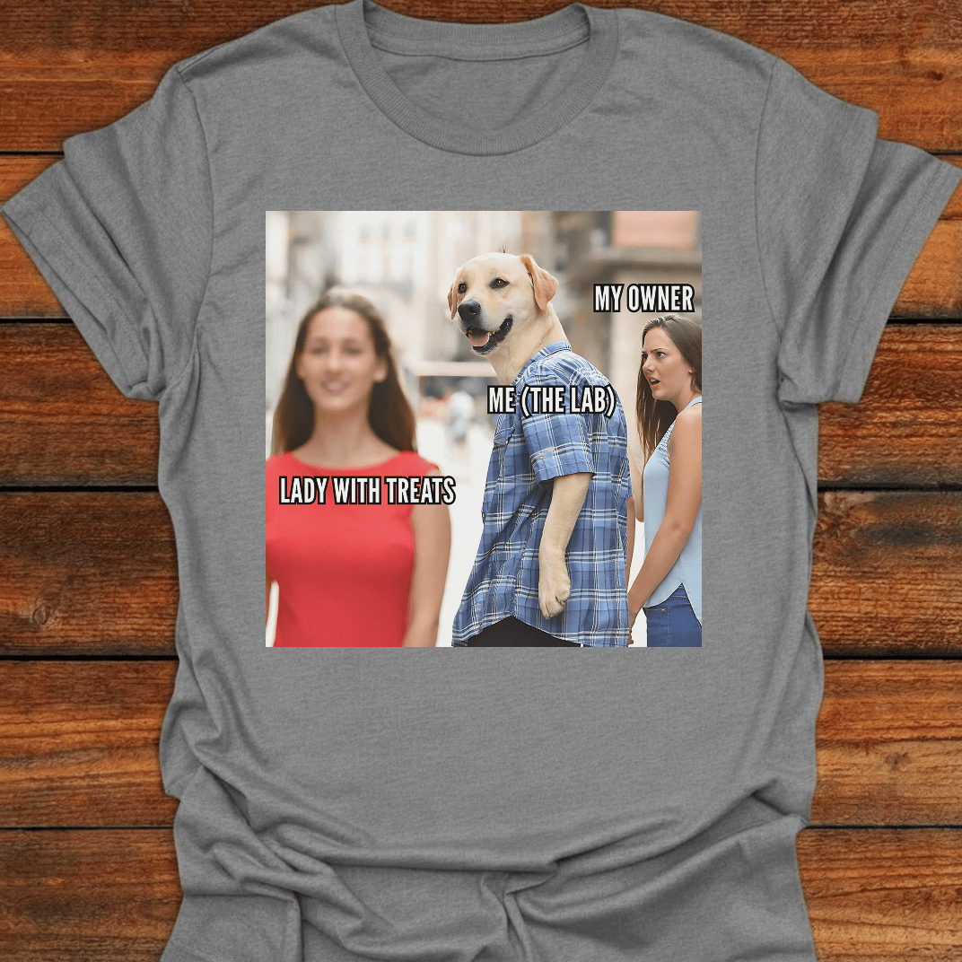 Lady With Treats T-Shirt