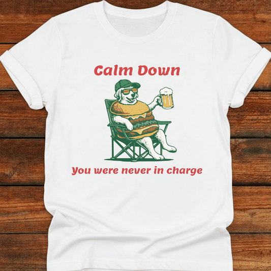 Calm Down You Were Never In Charge T-Shirt