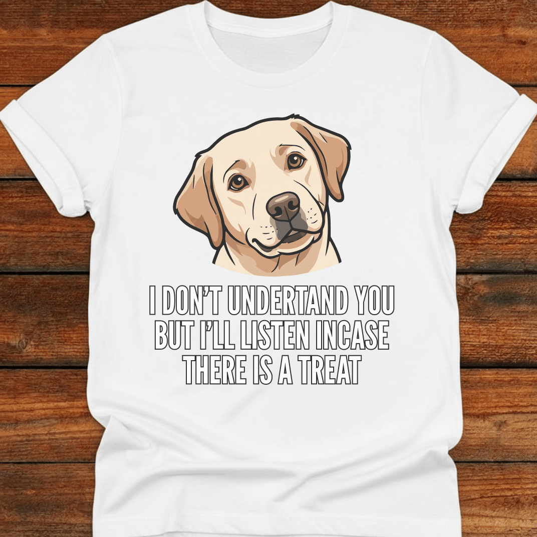 I Don't Understand You T-Shirt