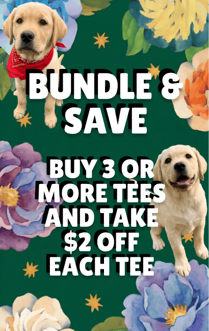 Buy 3 or more t-shirt and make $2 off each t-shirt